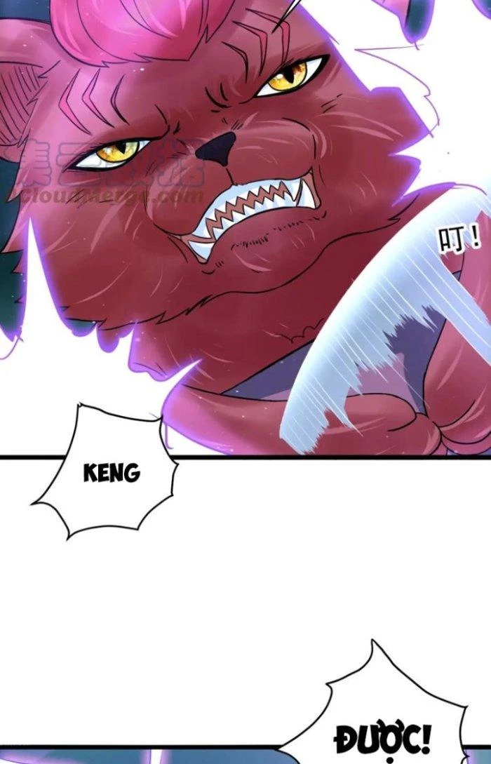 Sư Tổ Của Ta Là Thiên Hạ Đệ Nhất Chapter 67 - Trang 3