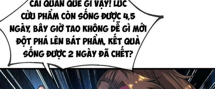 Nhân Sinh Của Ta Có Thể Vô Hạn Mô Phỏng Chapter 11 - Next Chapter 12