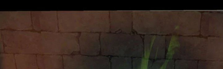 Ta Dựa Vào Trộm Mộ Thành Thần Chapter 1 - Trang 2