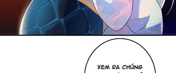 Thần Cấp Khế Ước: Bắt Đầu Từ Một Con Mèo Chapter 28 - Trang 2