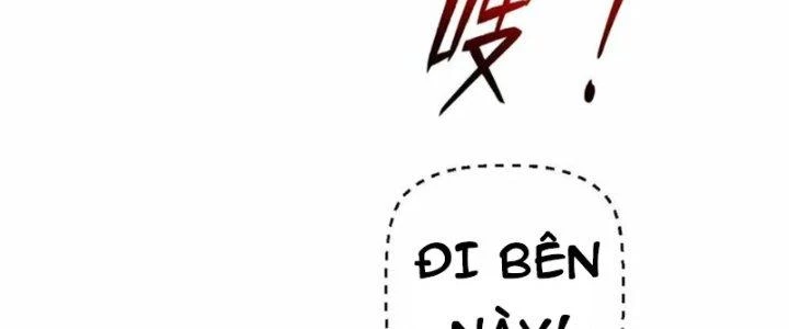 Thần Cấp Khế Ước: Bắt Đầu Từ Một Con Mèo Chapter 31 - Trang 2