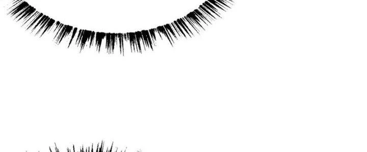 Toàn Thuộc Tính Võ Đạo Chapter 64 - Trang 4