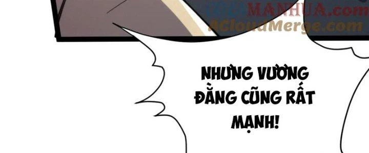 Toàn Thuộc Tính Võ Đạo Chapter 64 - Trang 4