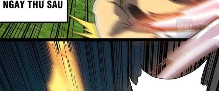 Toàn Thuộc Tính Võ Đạo Chapter 66 - Trang 4