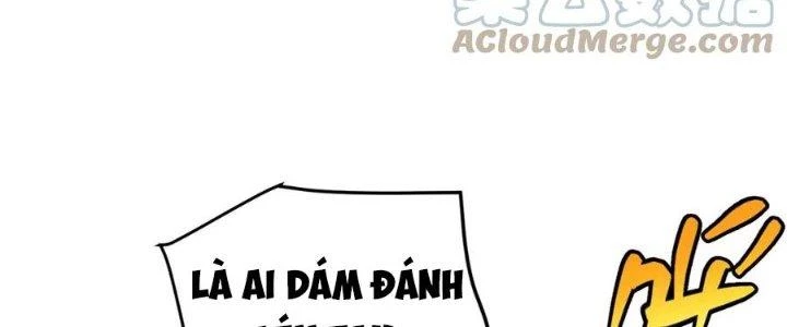 Linh Khí Khôi Phục: Ta Bắt Đầu Có Trảm Thiên Chi Nhãn Chapter 16 - Next Chapter 17