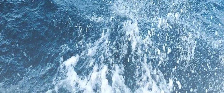 Linh Khí Khôi Phục: Ta Bắt Đầu Có Trảm Thiên Chi Nhãn Chapter 23 - Next Chapter 24