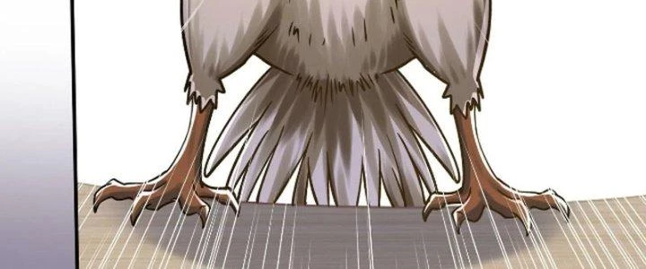 Linh Khí Khôi Phục: Ta Bắt Đầu Có Trảm Thiên Chi Nhãn Chapter 28 - Next Chapter 29