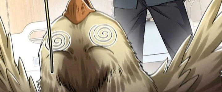 Linh Khí Khôi Phục: Ta Bắt Đầu Có Trảm Thiên Chi Nhãn Chapter 29 - Next Chapter 30