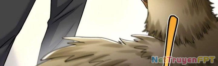 Linh Khí Khôi Phục: Ta Bắt Đầu Có Trảm Thiên Chi Nhãn Chapter 29 - Next Chapter 30
