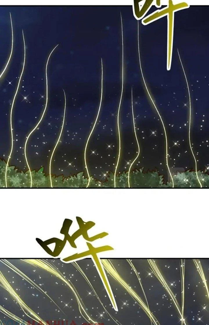 Chiếm Cái Đỉnh Núi Làm Đại Vương Chapter 165 - Trang 3