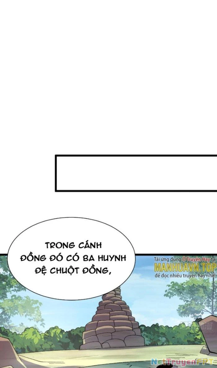 Lô Đỉnh Độc Quyền Của Các Nữ Đế Tương Lai Chapter 23 - Trang 3