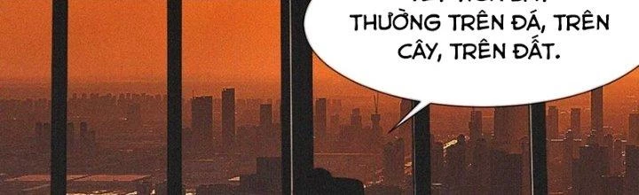 Trải Nghiệm Trở Thành Huyết Tộc Chapter 90 - Trang 2