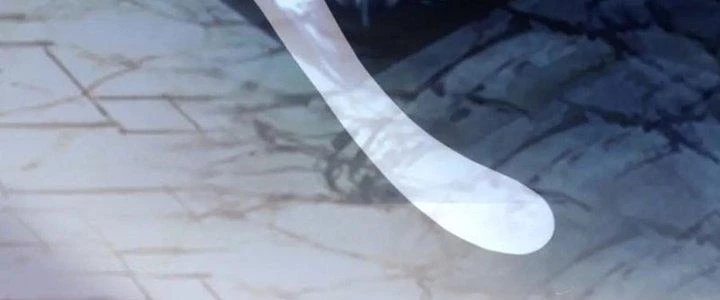 Đạo Sĩ Ma Pháp Dị Thế Giới Chapter 29 - Next Chapter 29