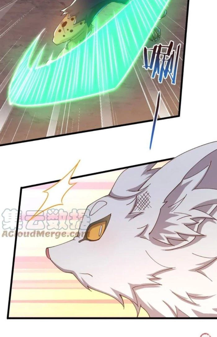 Thẻ Bài Của Ta Có Thể Vô Hạn Cường Hoá Chapter 14 - Trang 2