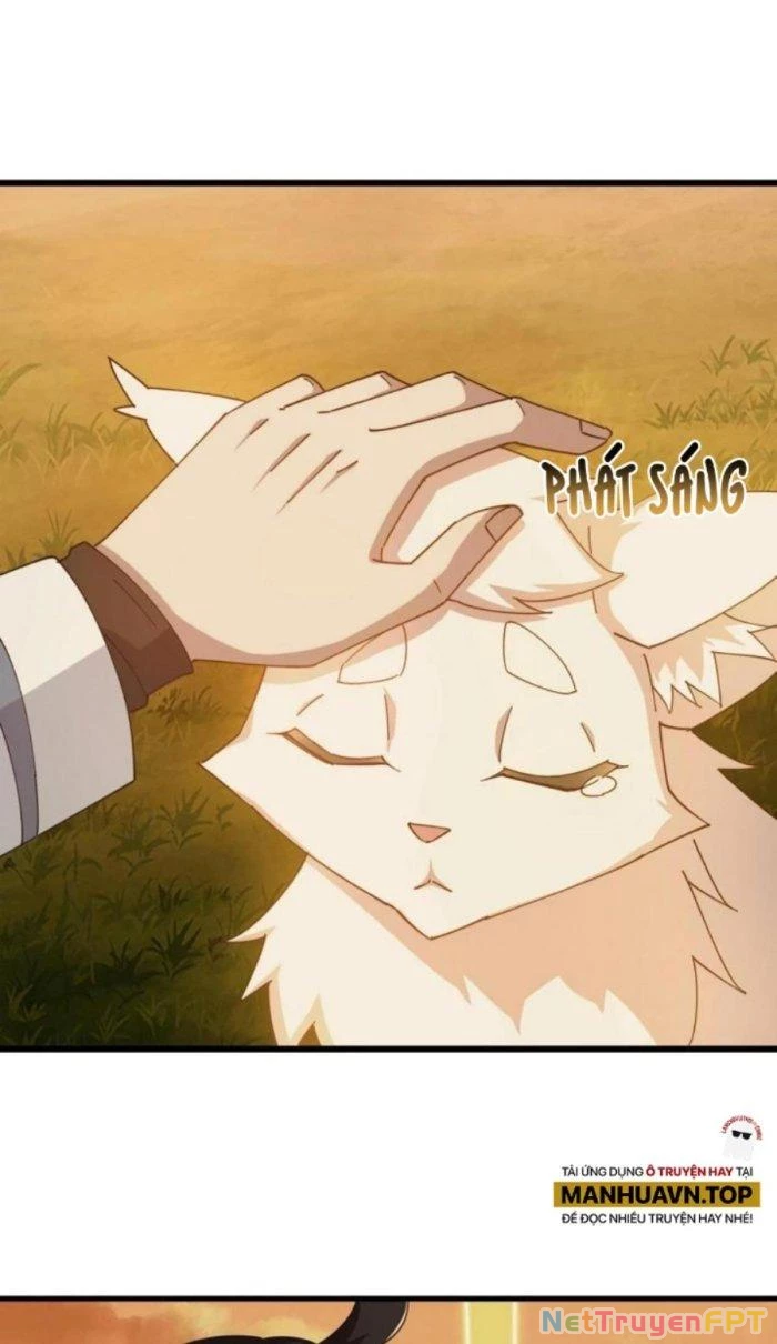 Thẻ Bài Của Ta Có Thể Vô Hạn Cường Hoá Chapter 16 - Trang 2