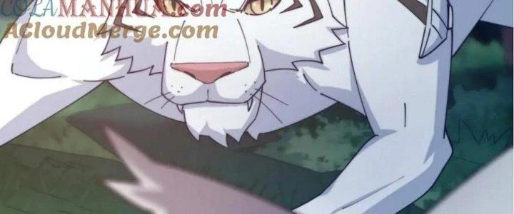 Thẻ Bài Của Ta Có Thể Vô Hạn Cường Hoá Chapter 19 - Trang 2
