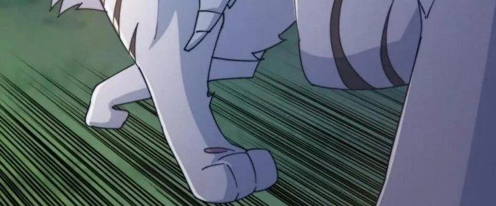 Thẻ Bài Của Ta Có Thể Vô Hạn Cường Hoá Chapter 19 - Trang 2