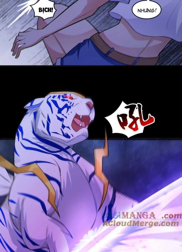 Ngự Thần Trùng Sinh Chapter 81 - Next Chapter 82