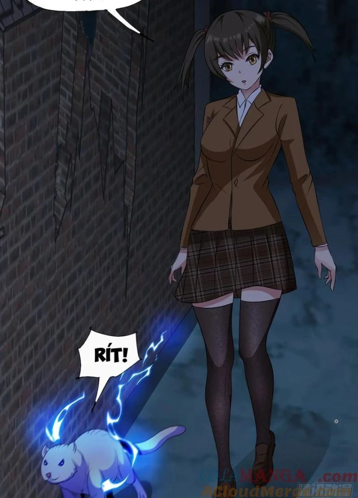 Ngự Thần Trùng Sinh Chapter 92 - Next Chapter 93