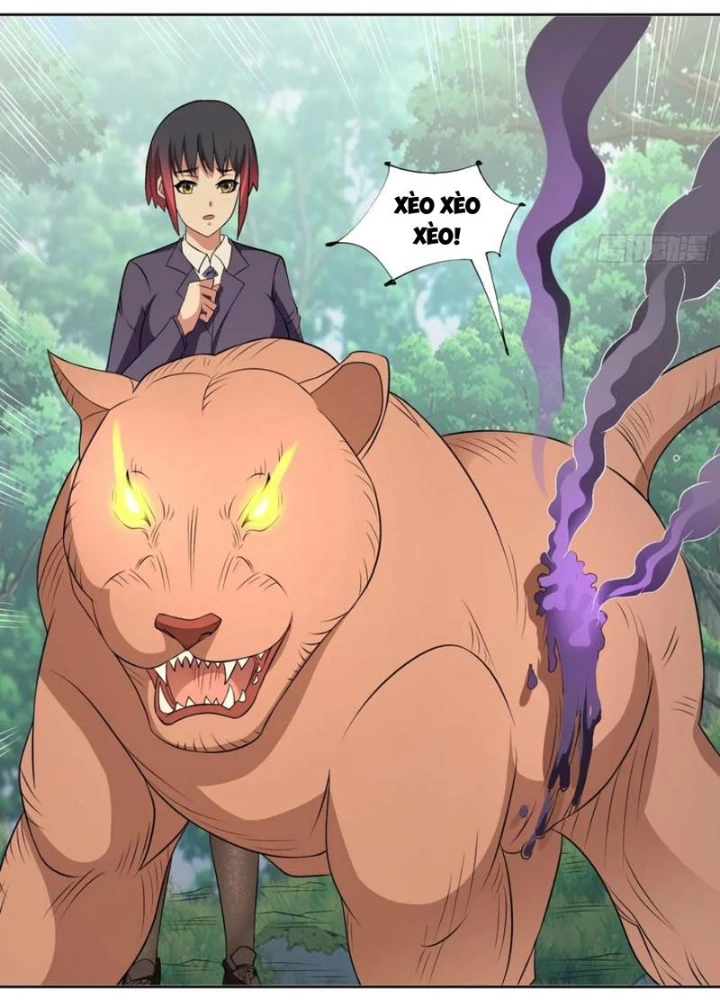 Ngự Thần Trùng Sinh Chapter 96 - Next Chapter 97