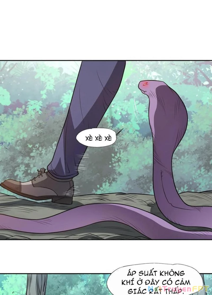 Ngự Thần Trùng Sinh Chapter 97 - Next Chapter 98