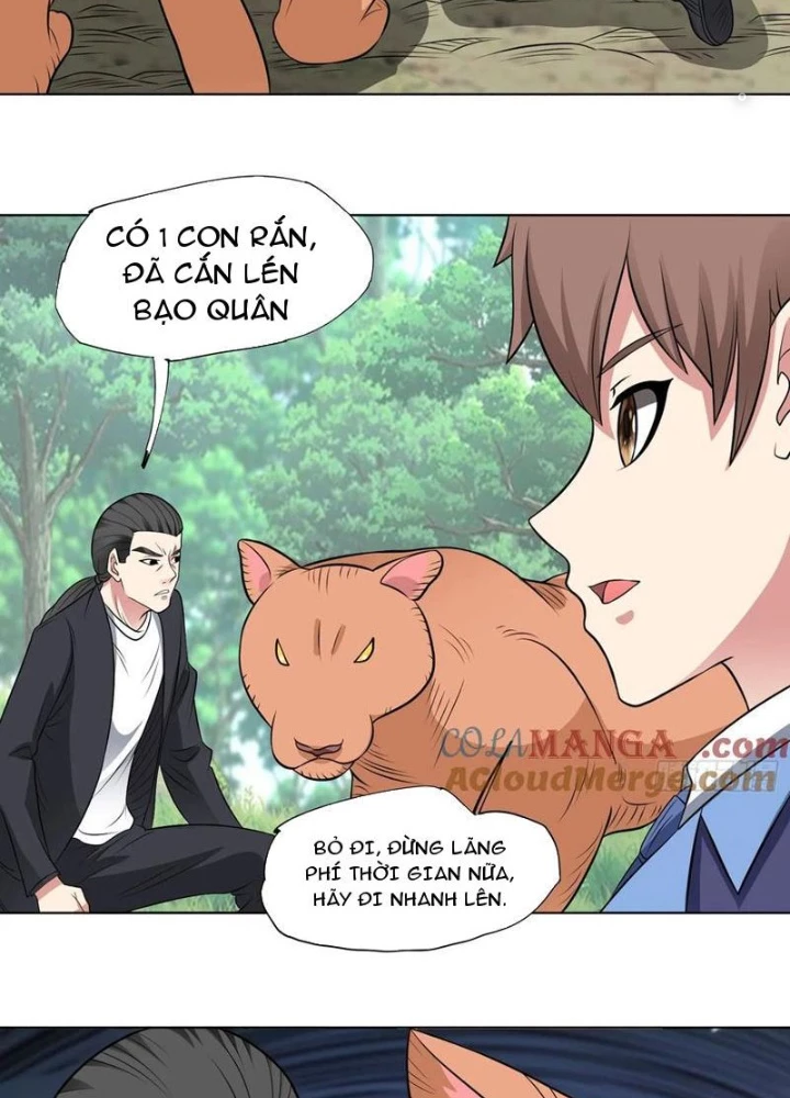 Ngự Thần Trùng Sinh Chapter 97 - Next Chapter 98