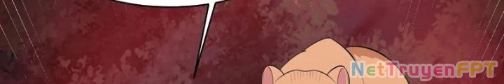 Ngự Thần Trùng Sinh Chapter 97 - Next Chapter 98