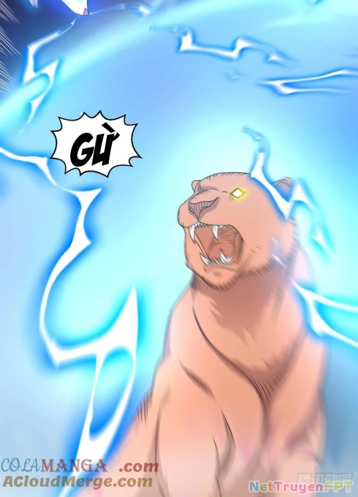 Ngự Thần Trùng Sinh Chapter 114 - Next Chapter 115