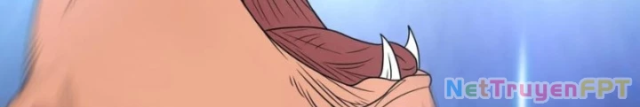 Ngự Thần Trùng Sinh Chapter 114 - Next Chapter 115