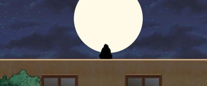 Ta Phổ Cập Tu Tiên Cho Thế Giới Chapter 11 - Next Chapter 12