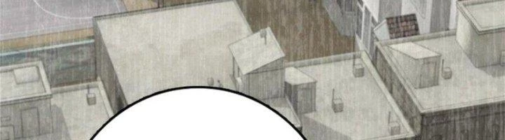 Thả Vu Nữ Đó Ra Chapter 483 - Trang 4