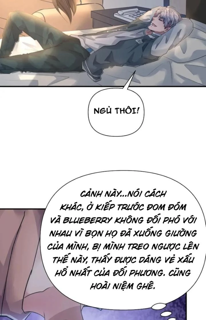 Vương Giả Săn Mồi Chapter 114 - Trang 3