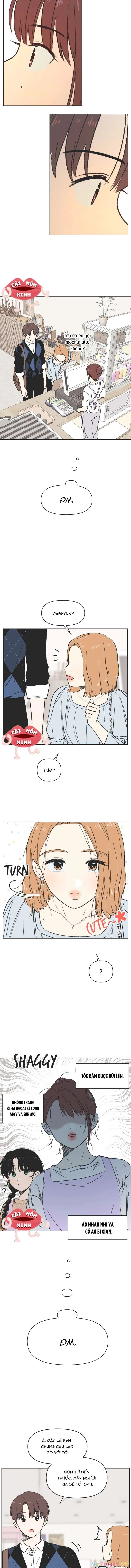 Thanh Xuân Đáng Yêu Chapter 7 - Next Chapter 8