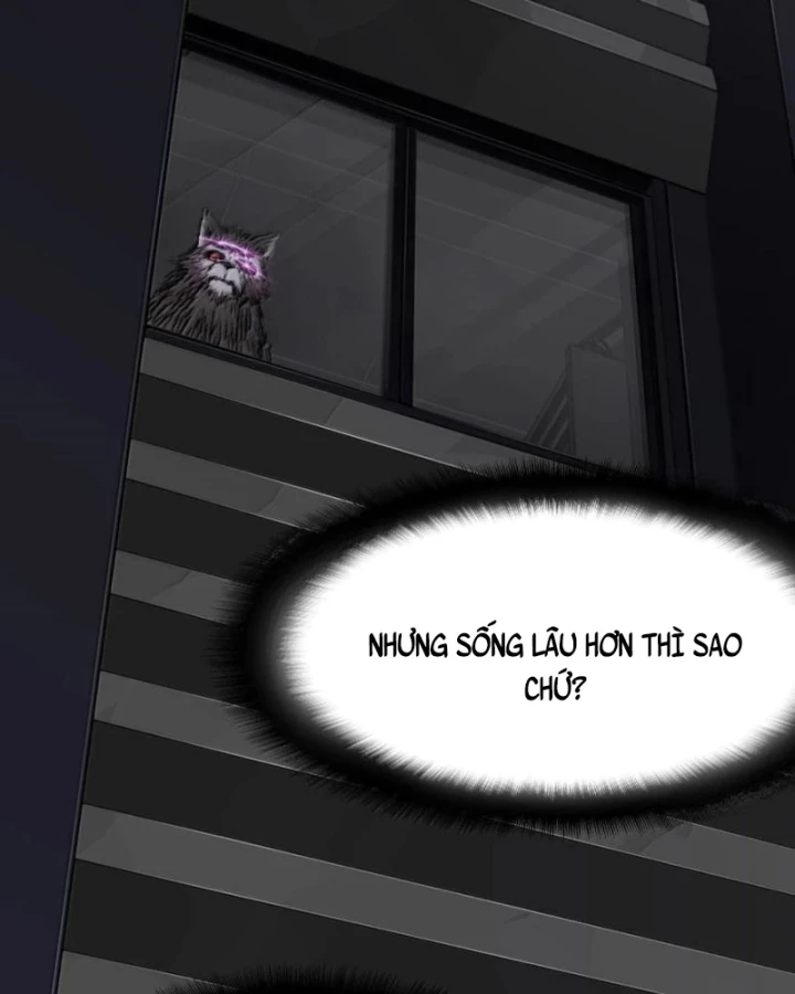 Bàn Tay Thần Thánh Chapter 42 - Next Chapter 43