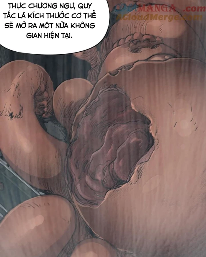 Bàn Tay Thần Thánh Chapter 42 - Next Chapter 43