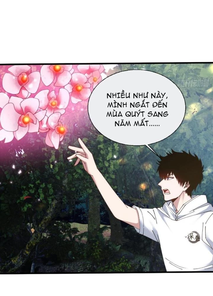 Phá Tà: Có Đứa Kêu Tao Livestream Bắt Quỷ Chapter 42 - Trang 3