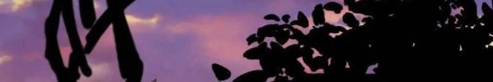 Phá Tà: Có Đứa Kêu Tao Livestream Bắt Quỷ Chapter 48 - Trang 3