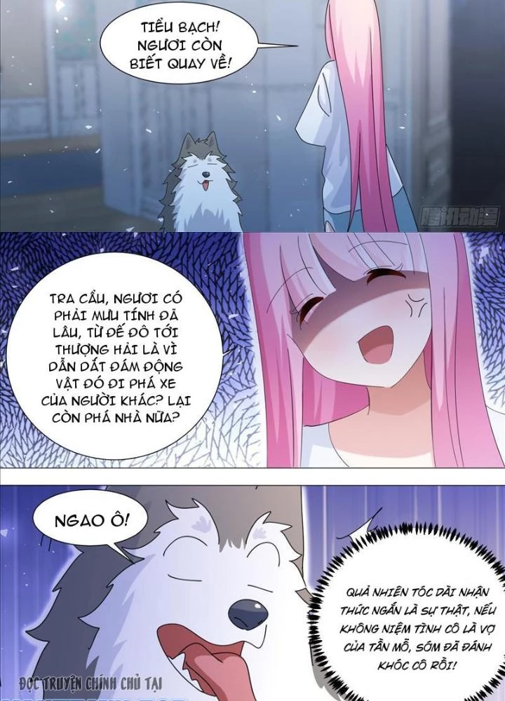 Trọng Sinh Thành Chó Của Nữ Thần Chapter 378 - Trang 3