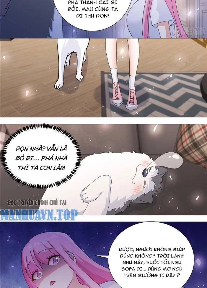 Trọng Sinh Thành Chó Của Nữ Thần Chapter 378 - Trang 3