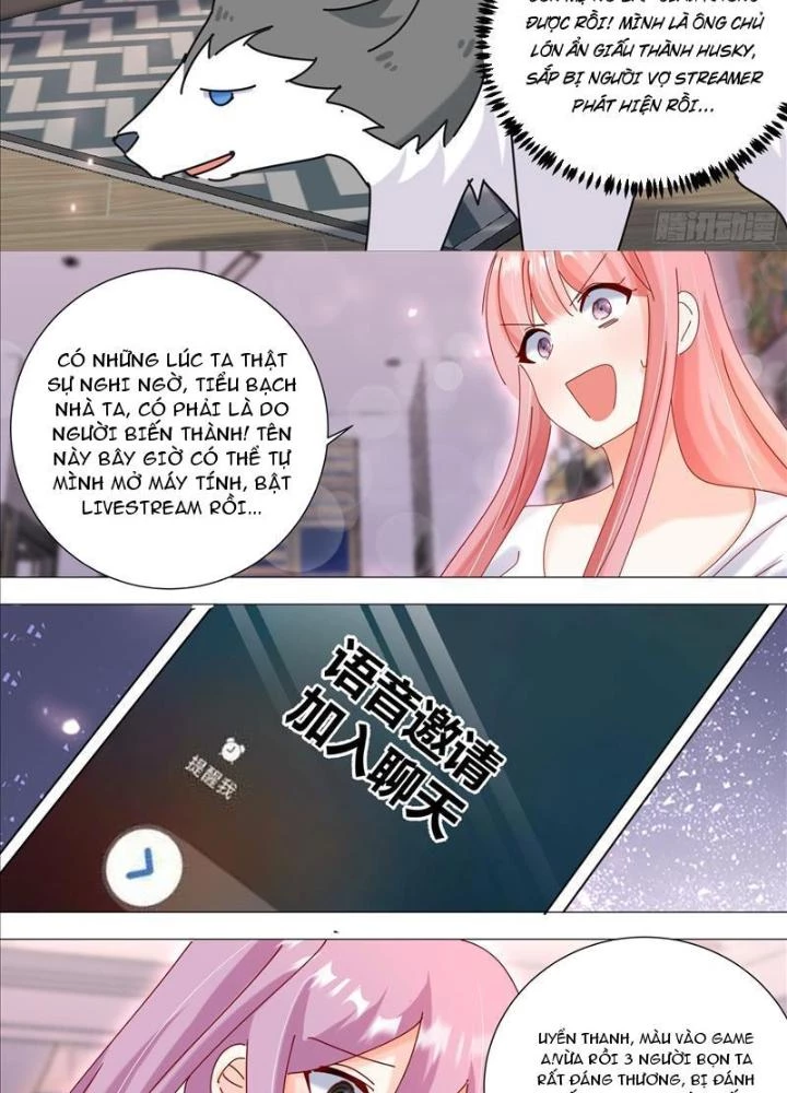 Trọng Sinh Thành Chó Của Nữ Thần Chapter 379 - Trang 3