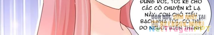 Trọng Sinh Thành Chó Của Nữ Thần Chapter 379 - Trang 3