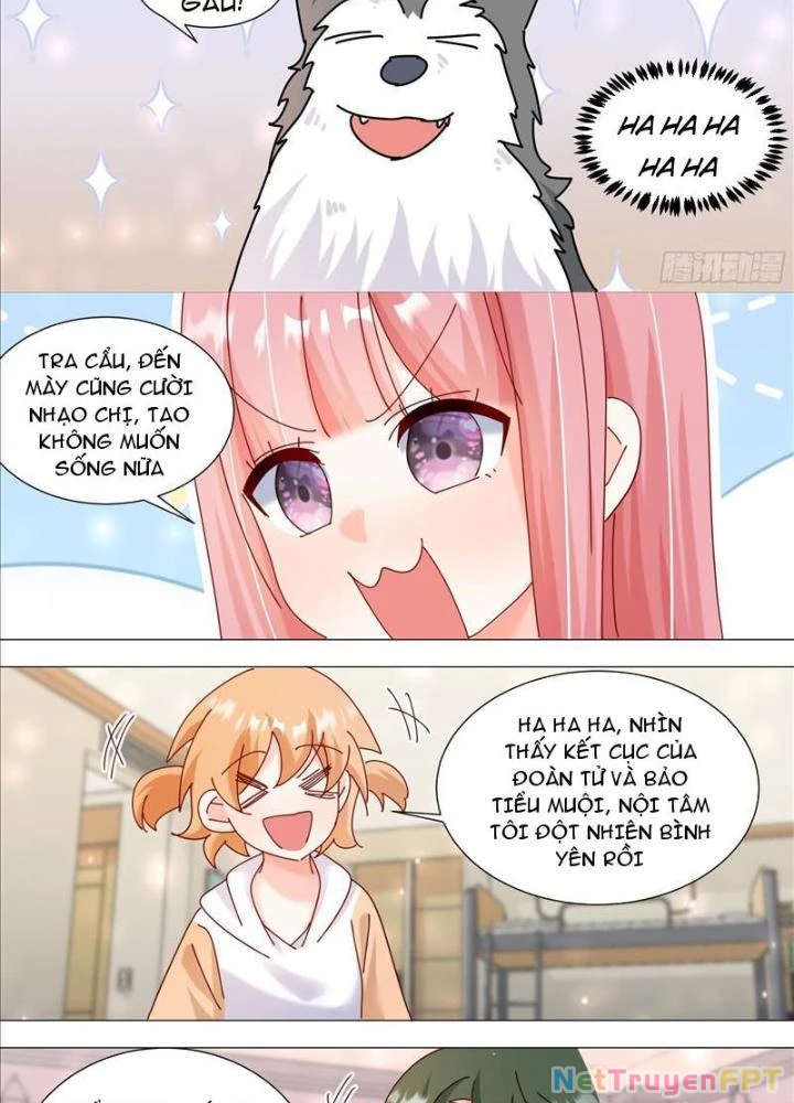 Trọng Sinh Thành Chó Của Nữ Thần Chapter 381 - Trang 3