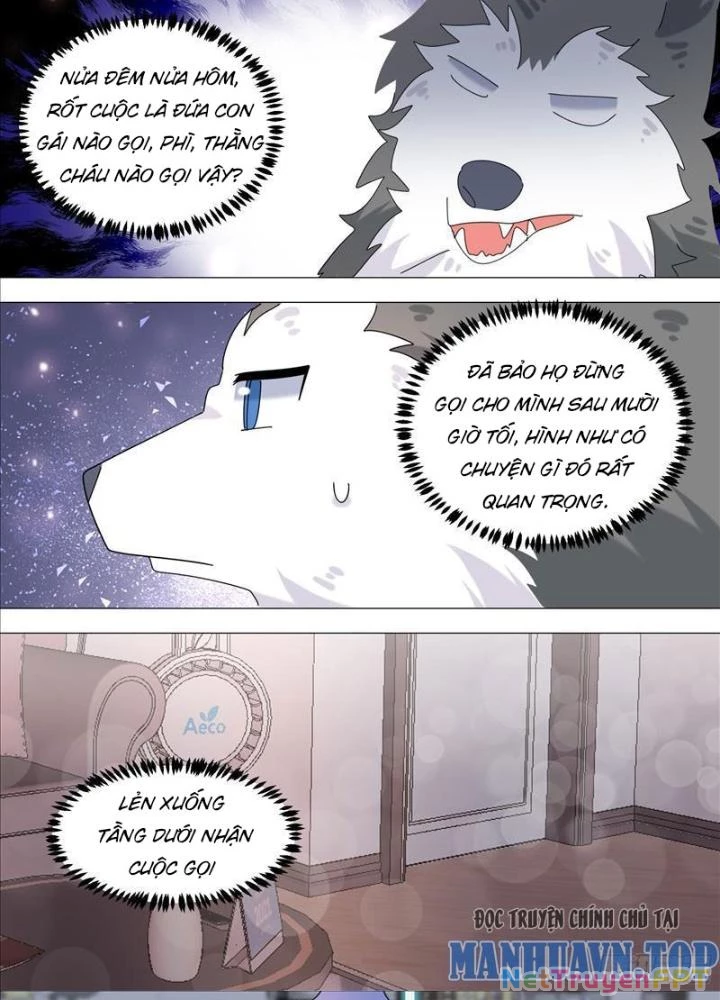 Trọng Sinh Thành Chó Của Nữ Thần Chapter 381 - Trang 3