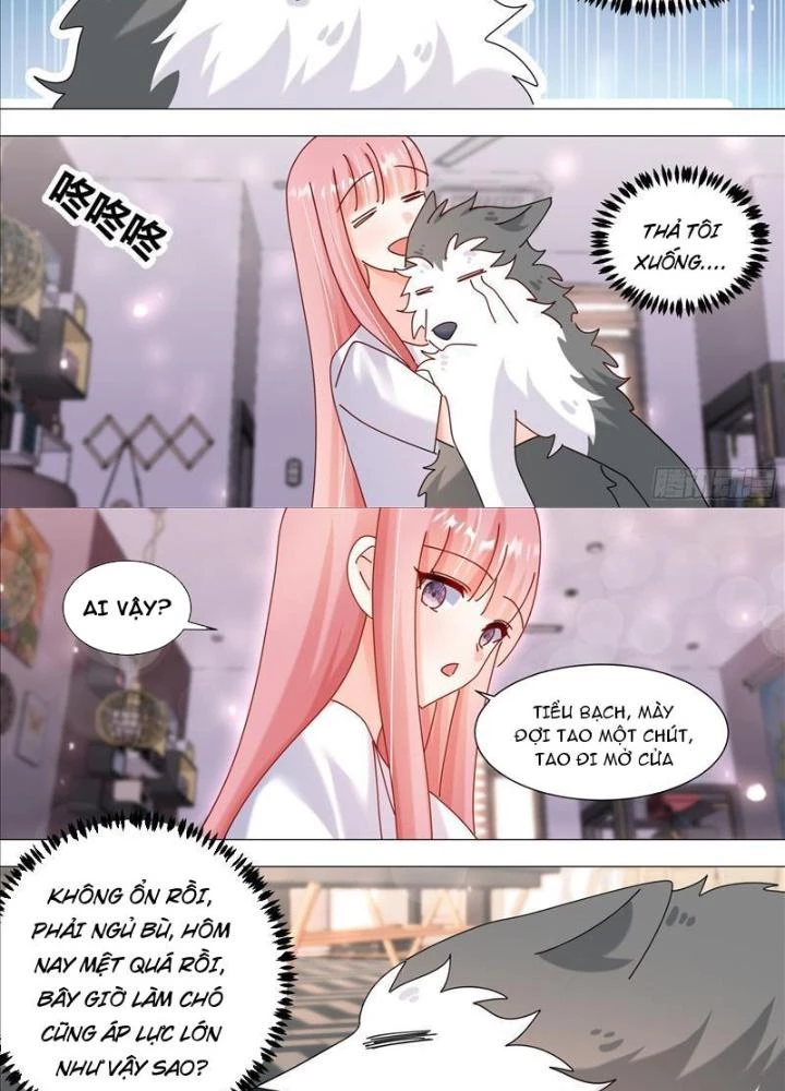 Trọng Sinh Thành Chó Của Nữ Thần Chapter 385 - Trang 3