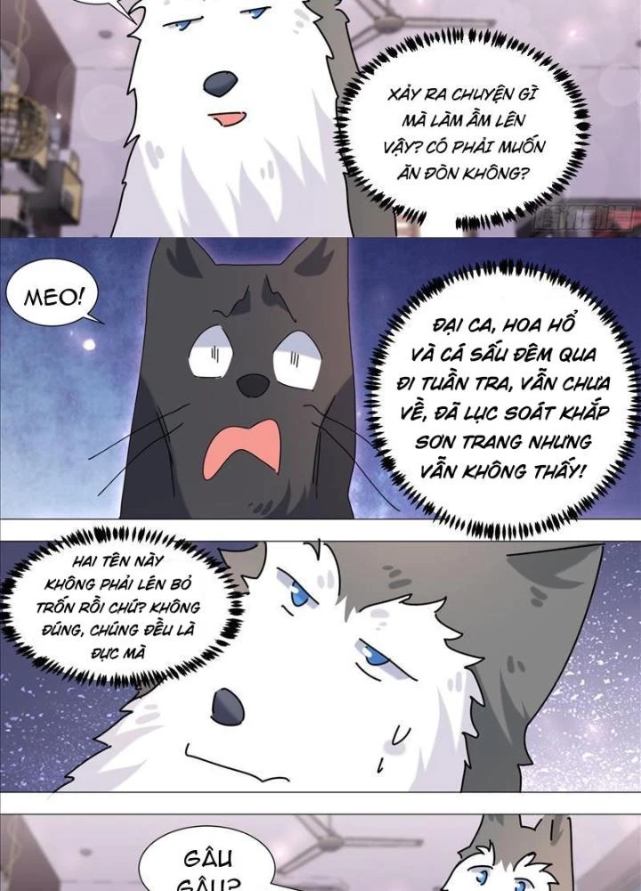 Trọng Sinh Thành Chó Của Nữ Thần Chapter 385 - Trang 3