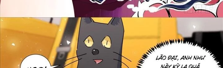 Trọng Sinh Thành Chó Của Nữ Thần Chapter 386 - Trang 3