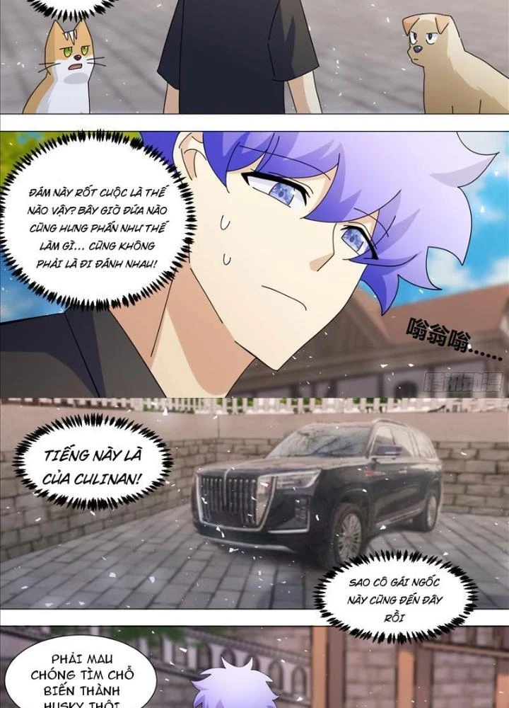 Trọng Sinh Thành Chó Của Nữ Thần Chapter 386 - Trang 3