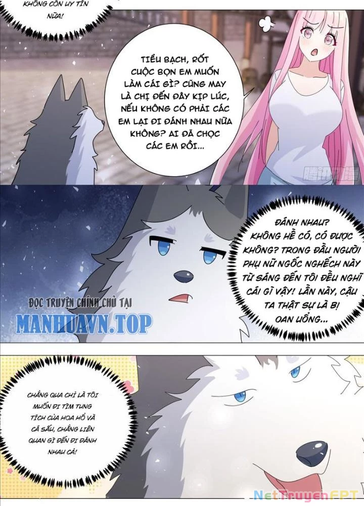 Trọng Sinh Thành Chó Của Nữ Thần Chapter 386 - Trang 3