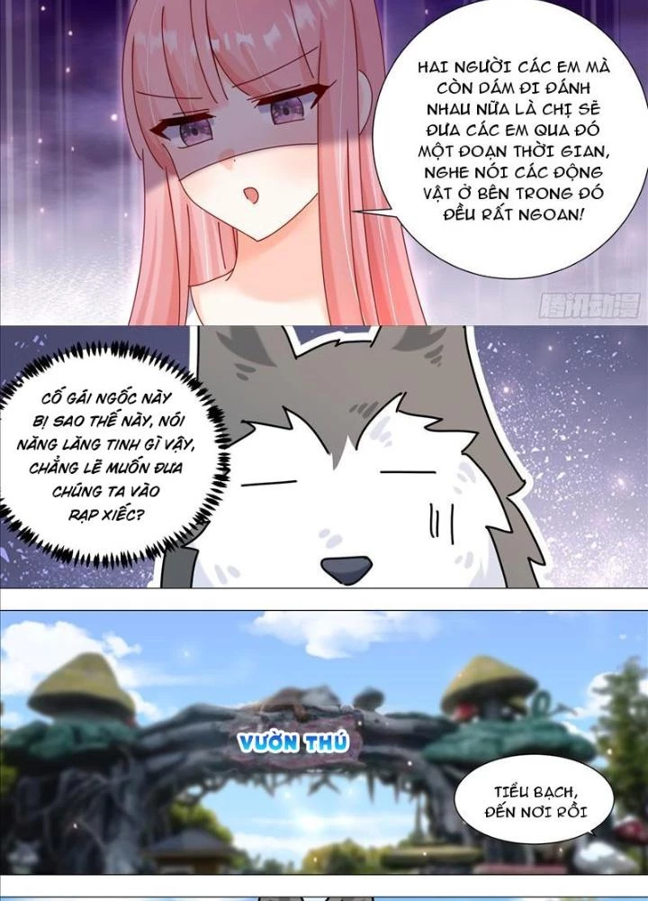 Trọng Sinh Thành Chó Của Nữ Thần Chapter 387 - Trang 3