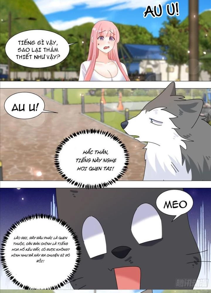 Trọng Sinh Thành Chó Của Nữ Thần Chapter 387 - Trang 3